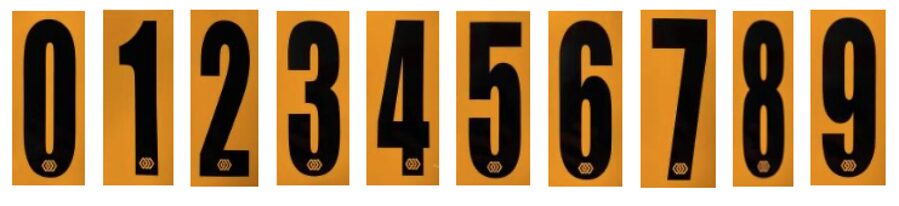 SECTION 3 - RACE NUMBERS